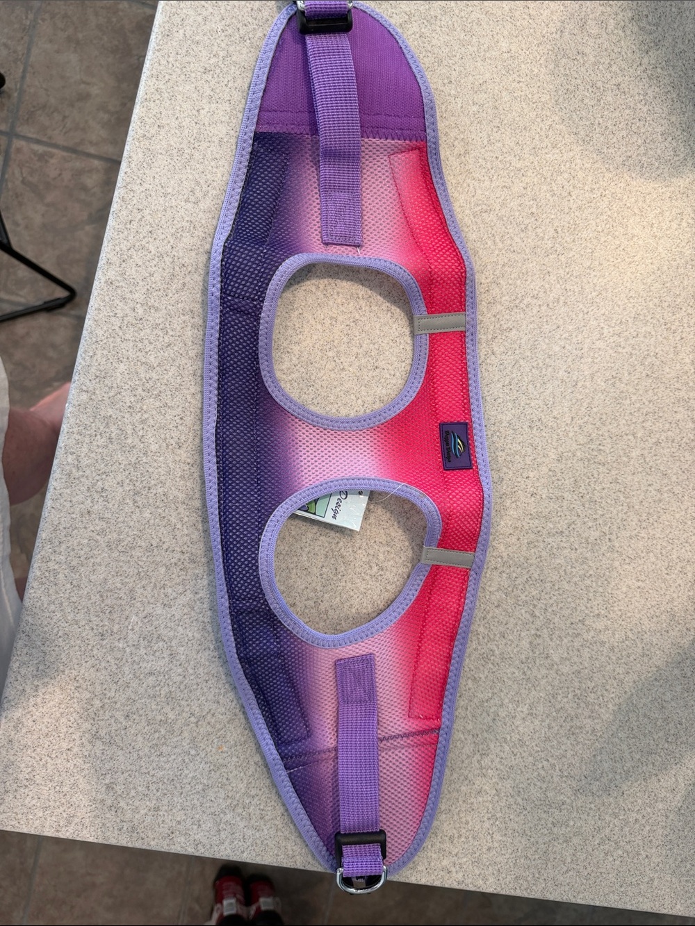Purple & Pink Gradient No-Pull Dog Harness - Comfortable Padded Vest
